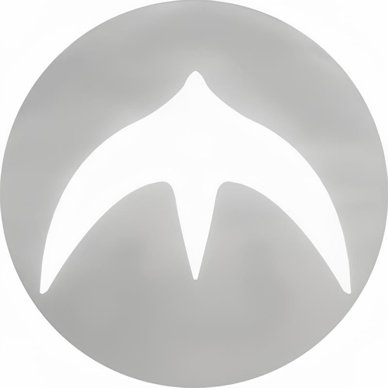 YZY Logo